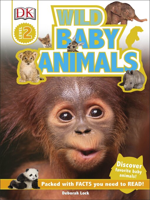 Title details for Wild Baby Animals by Deborah Lock - Available